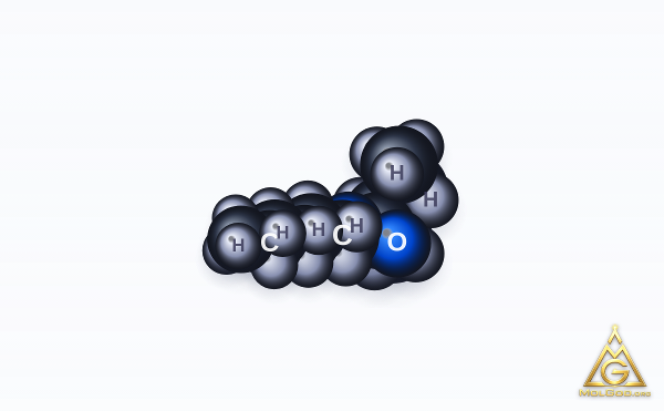 Hexyl 2-methylbutyrate (CAS 10032-15-2) – space-filling 3D model, MolGod Viewer