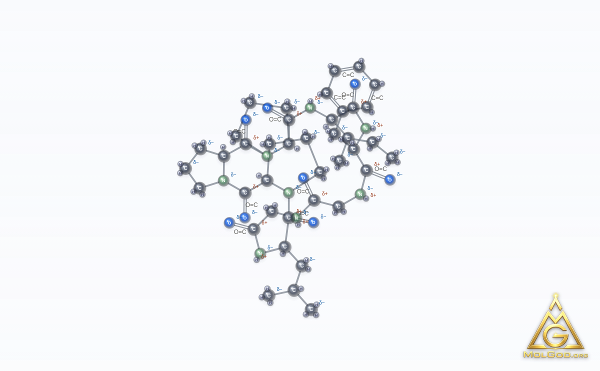 Heterophyllin B (CAS 145459-19-4) – ball-and-stick 3D model, MolGod Viewer