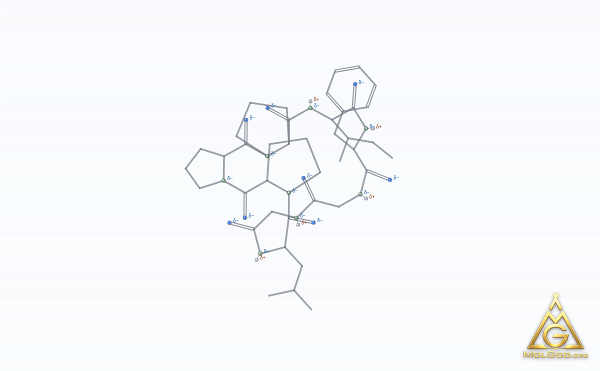 Heterophyllin B (CAS 145459-19-4) – skeletal 3D model, MolGod Viewer