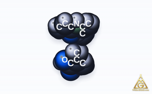 Poly(N-isopropylacrylamide-co-methacrylic acid) (CAS 151954-97-1) – space-filling 3D model, MolGod Viewer