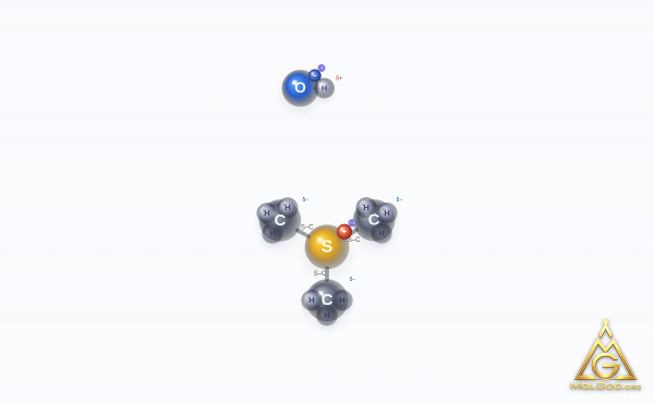 Trimethylsulfonium hydroxide (CAS 17287-03-5) – modello 3D a sfere e bastoncini, MolGod Viewer