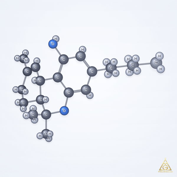 Tetrahydrocannabinol (CAS 1972-08-3) – ball-and-stick 3D model, MolGod Viewer