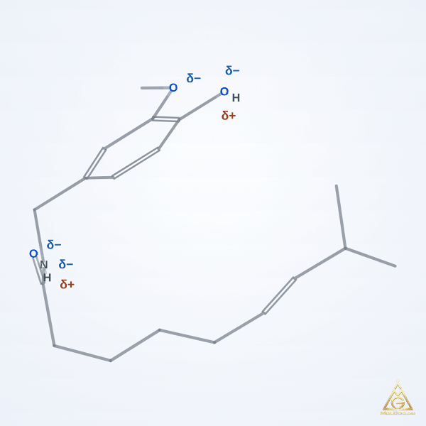 Capsaicin (CAS 404-86-4) – skeletal 3D model, MolGod Viewer