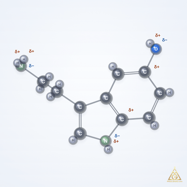Serotonin (CAS 50-67-9) – 2D structure, MolGod Viewer