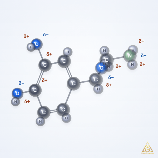 Norepinephrine (CAS 51-41-2) – 2D structure, MolGod Viewer
