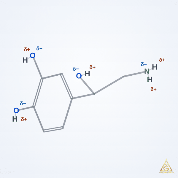 Norepinephrine (CAS 51-41-2) – skeletal 3D model, MolGod Viewer