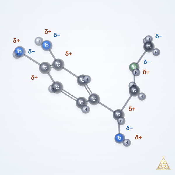 Epinephrine (CAS 51-43-4) – 2D structure, MolGod Viewer