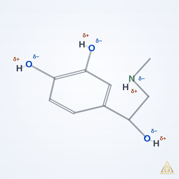 Epinephrine (CAS 51-43-4) – skeletal 3D model, MolGod Viewer