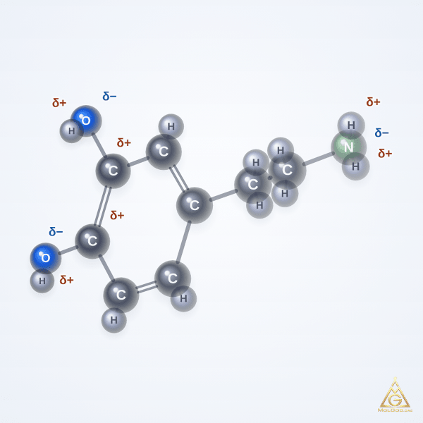Dopamine (CAS 51-61-6) – 2D structure, MolGod Viewer