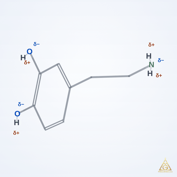 Dopamine (CAS 51-61-6) – skeletal 3D model, MolGod Viewer