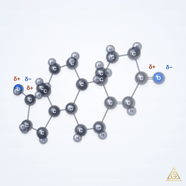 Testosterone (CAS 58-22-0) – 2D structure, MolGod Viewer