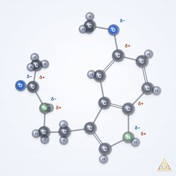 Melatonin (CAS 73-31-4) – 2D structure, MolGod Viewer