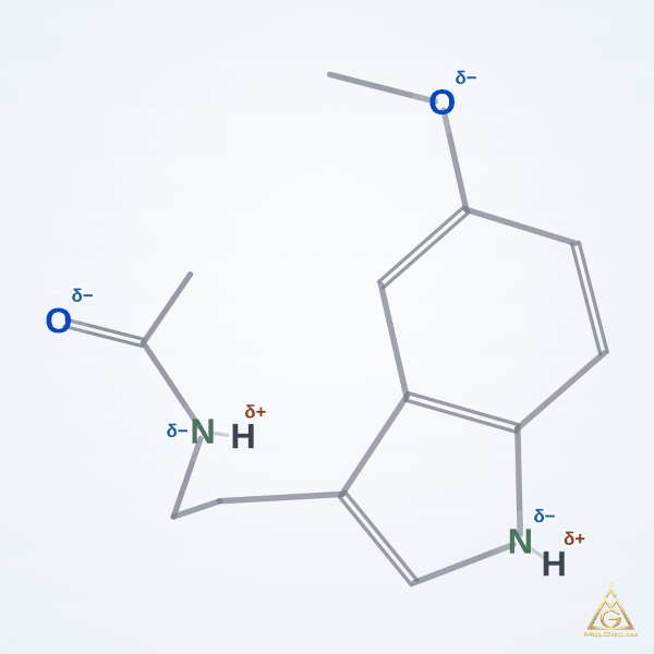Melatonin (CAS 73-31-4) – skeletal 3D model, MolGod Viewer